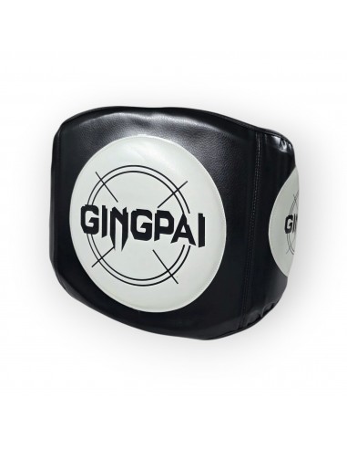 VENTRAL GINGPAI